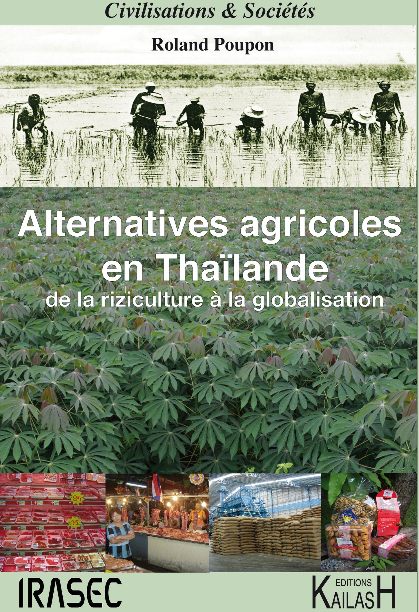 Alternative agricoles en Thailande, Essai, Thailande