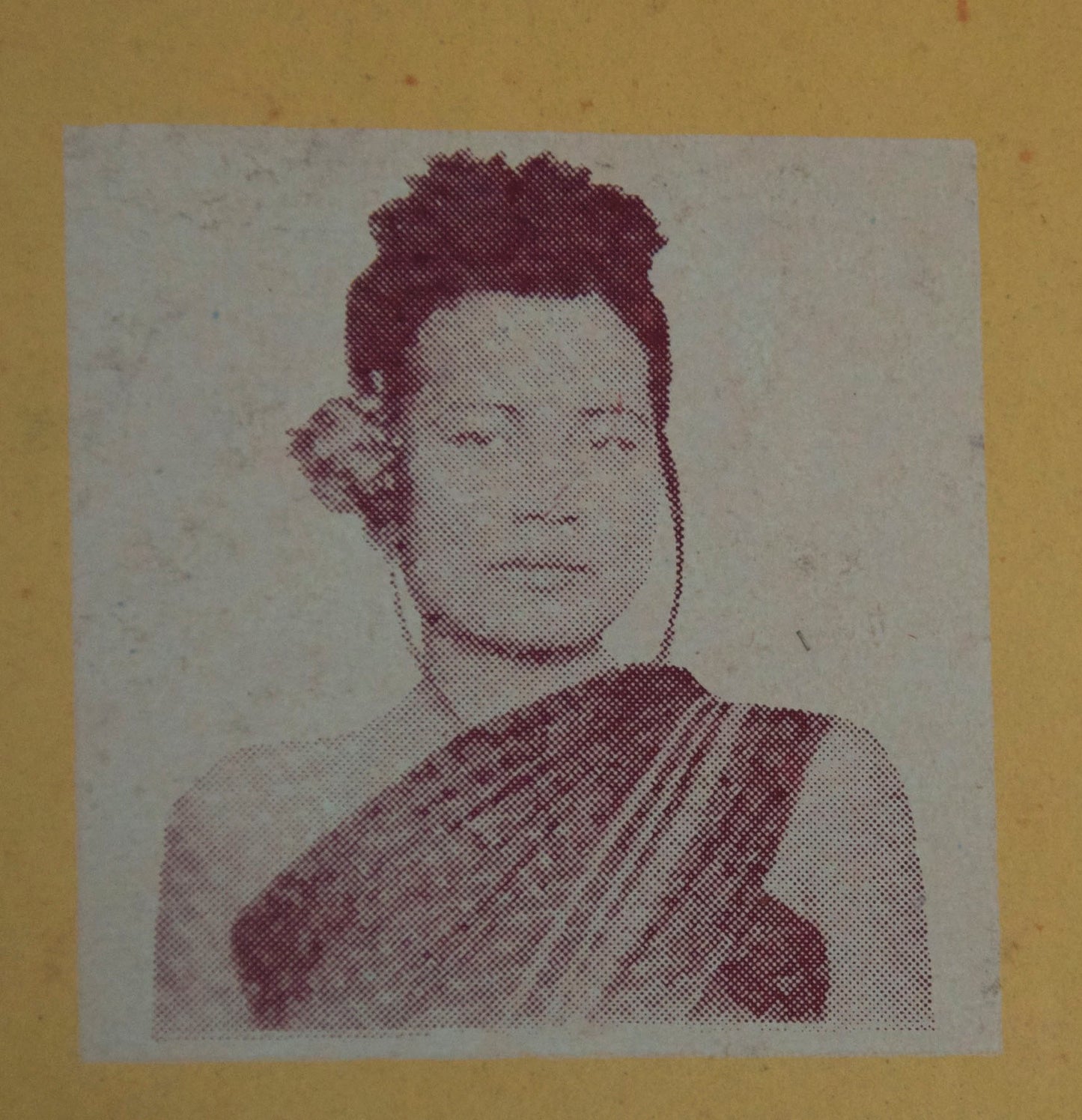 Le roi Lépreux roman Cambodge